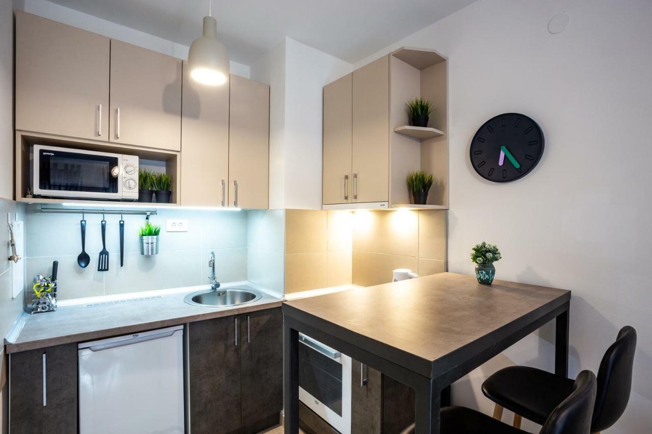 Modern Naive Downtown With Free Private Garage-Fast Wi-Fi Lejlighed Novi Sad Eksteriør billede